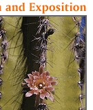 NASSP 85th Annual Convention and Exposition - Conference March 9-12, 2001 - Exposition March 9-11, 2001 - Phoenix Civic Plaza - Phoenix, Arizona -- Contact Us
